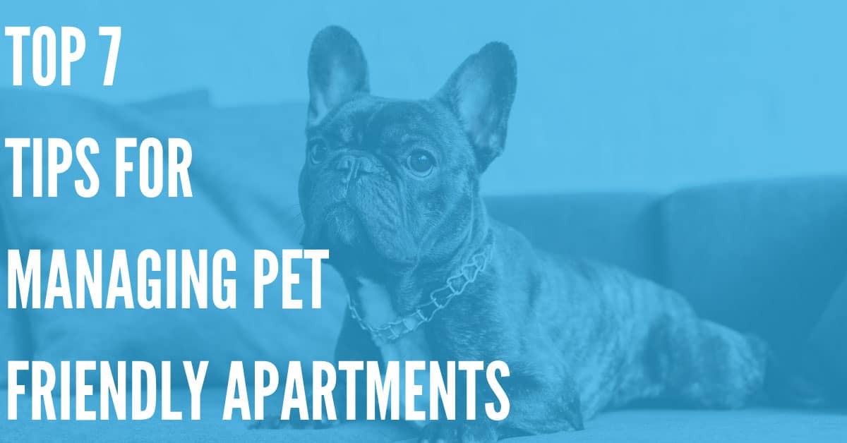 Top 7 Tips for Managing Pet Friendly Apartments