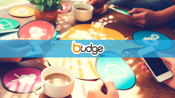 Budge - Nonprofit App