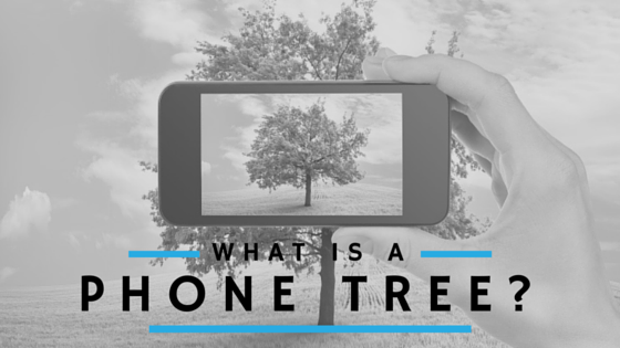 A Comprehensive Guide to Phone Tree Systems